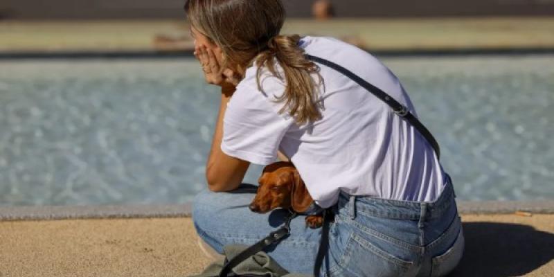 Foto de una chica que descansa sentada con su mascota en su regazo