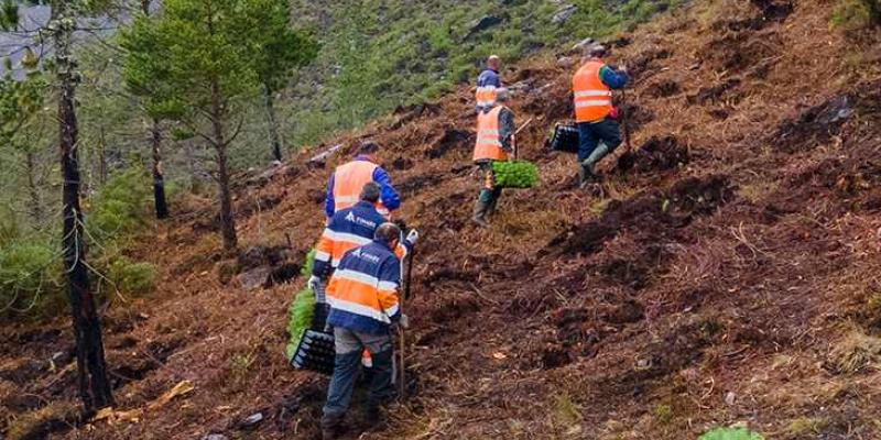 Trabajadores del proyecto RSC Motor Verde en Asturias