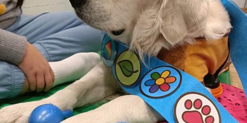 Purina impulsa talleres con perros en colegios de Educación Especial