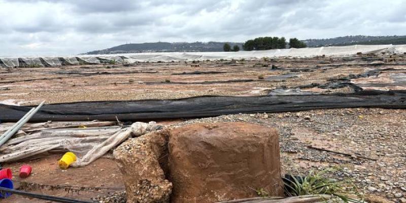 Plantaciones e invernaderos afectados por la DANA en Valencia