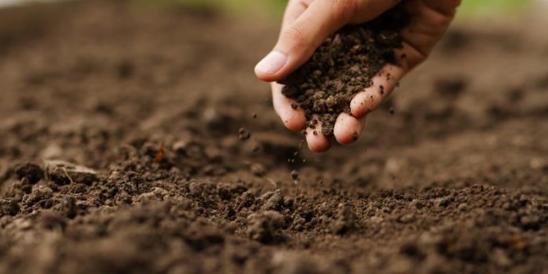 agricultura regenerativa