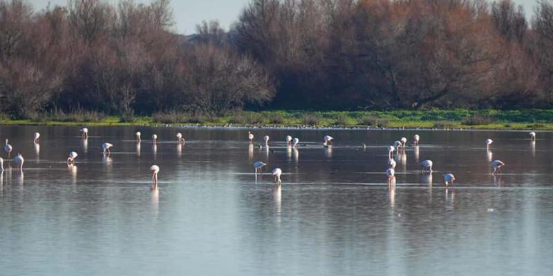 Andalucía lidera la renovación del cambio climático