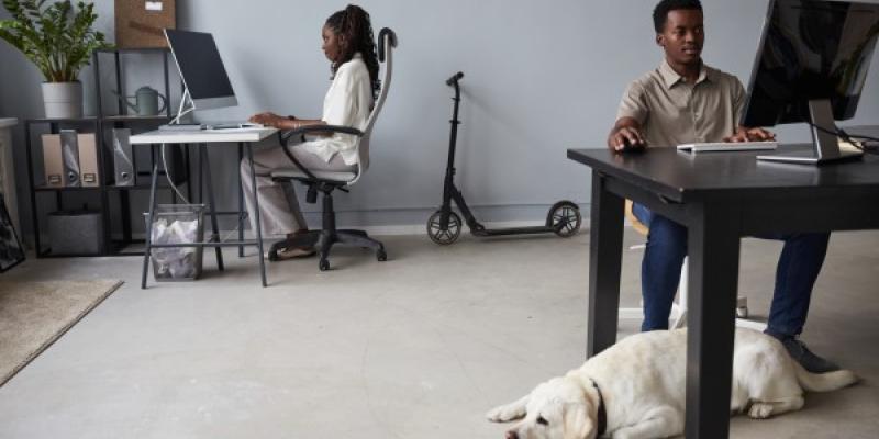 Vista amplia en una oficina moderna que admite mascotas con un perro acostado en el piso junto al escritorio