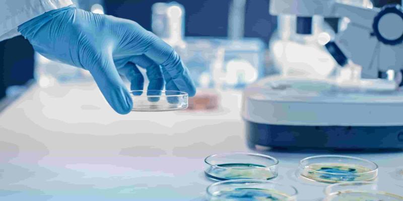 Descubrimiento del gen para las superbacterias