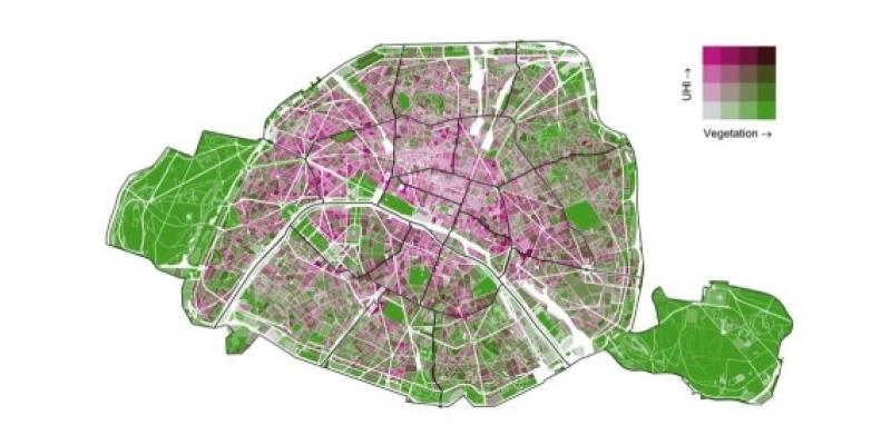 Contra más vegetación en ciudades, menor mortalidad