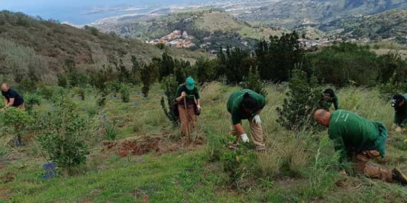 Medio Ambiente y su lucha en las zonas degradadas