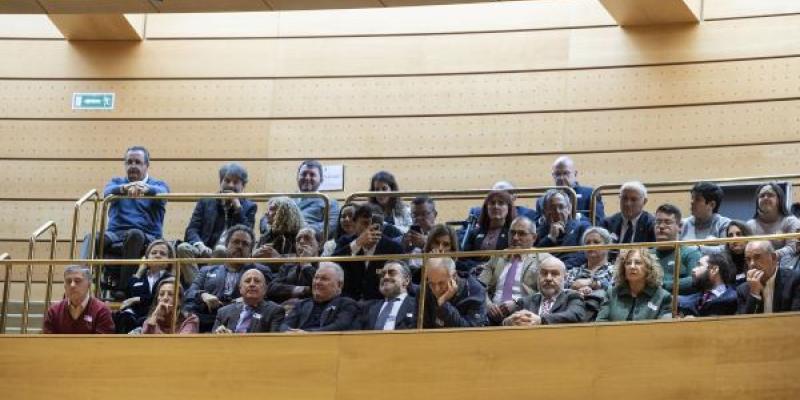 Representantes del movimiento asociativo de la discapacidad en la tribuna del Senado el día que se votaba la reforma constitucional 