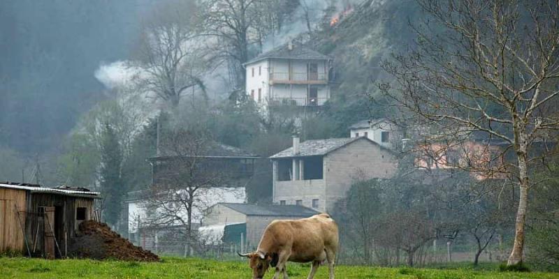 Asturias, el pastoreo y los incendios