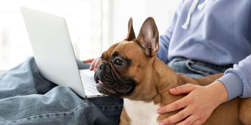 Los hogares europeos y la presencia de animales