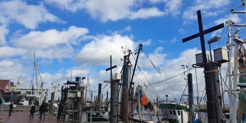 Barcos amarrados en puerto 