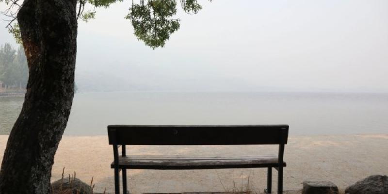Ceniza en el Lago de Sanabria por los incendios de Zamora