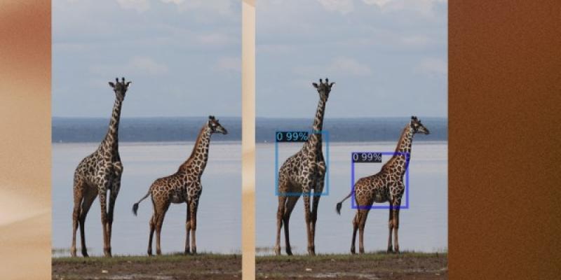 GIRAFFE, un proyecto que usa la IA para salvar jirafas