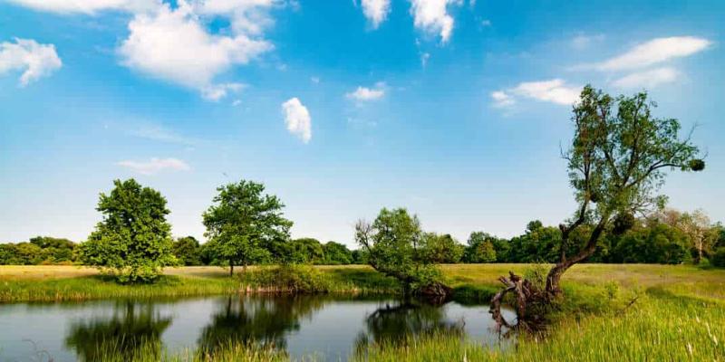 Biofobia y la negación con la naturaleza