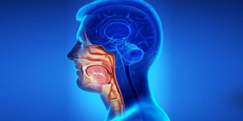 Infografía sobre el cáncer de cabeza y cuello