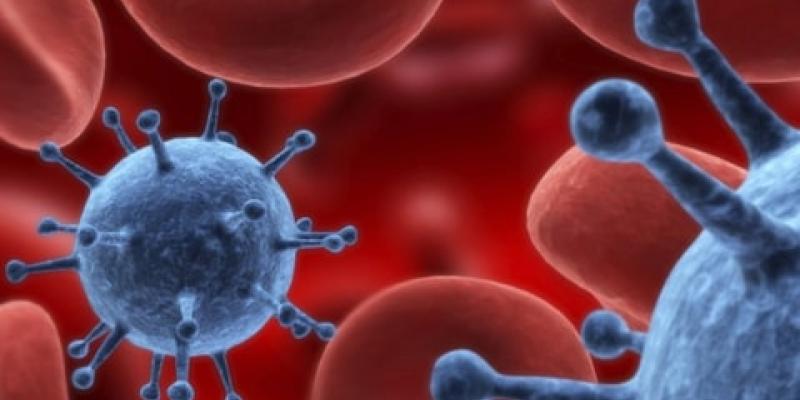 Día Mundial del Cáncer de Sangre