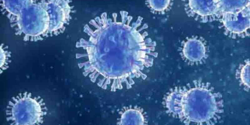 Sólo seis de cada cien cántabros superó el COVID-19