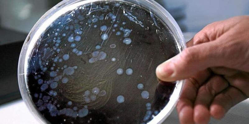 Aumentan los casos de esta nueva bacteria