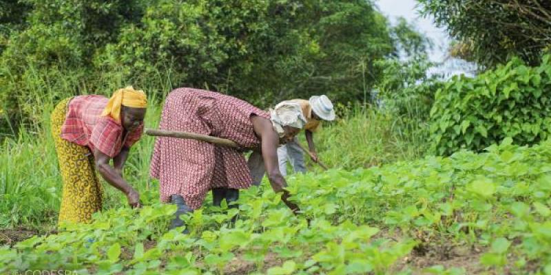 Mujer rural en África