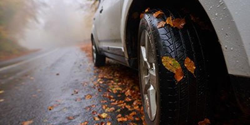 Coches y conducción en otoño