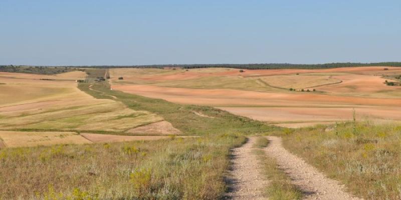 Cañada Real Conquense