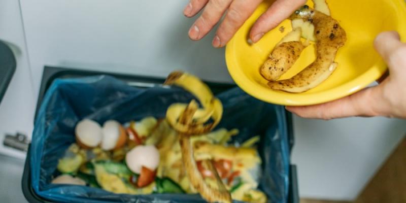 desperdicio alimentario