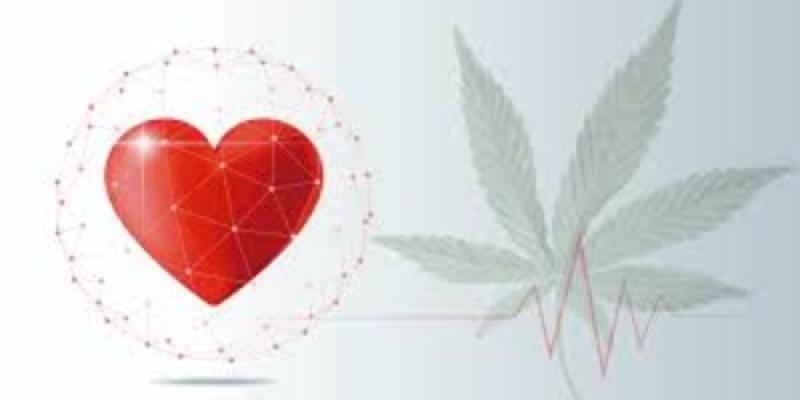 Consumo de cannabis y enfermedades cardiovasculares