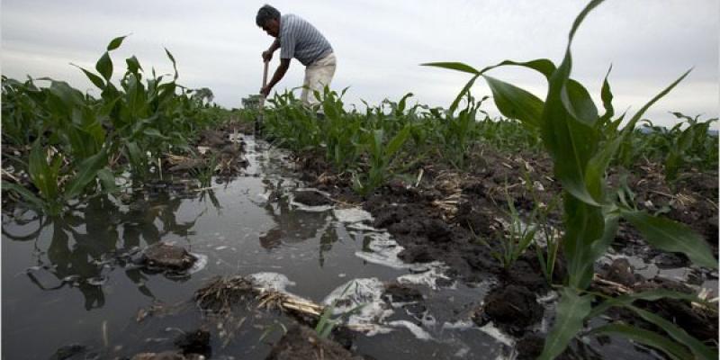 El plomo, su contaminación y las consecuencias