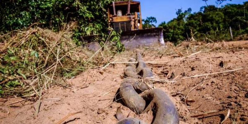 La cadena que se utiliza para esta técnica agrícola