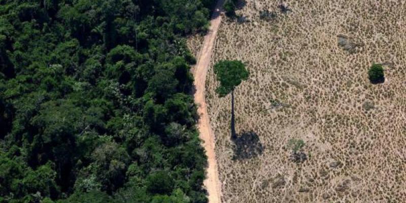 Una zona de selva deforestada en Brasil. 