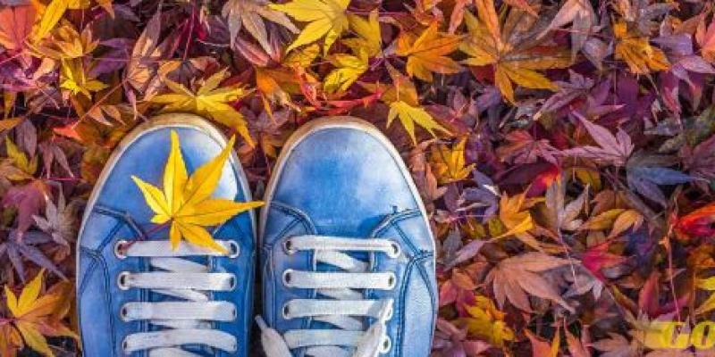 En otoño el senderismo sienta mejor