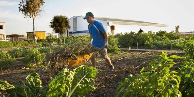 Una dieta climática basada en agroecología nos cuida y cuida del planeta