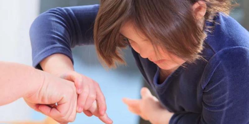 Discapacidad intelectual y relación con enfermedad mental