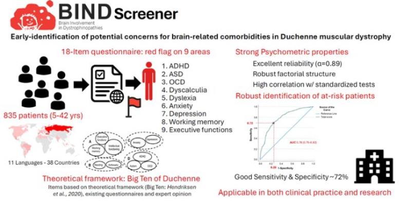 Resumen gráfico de la herramienta 