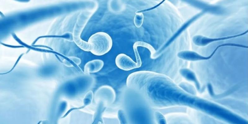 donante de esperma 