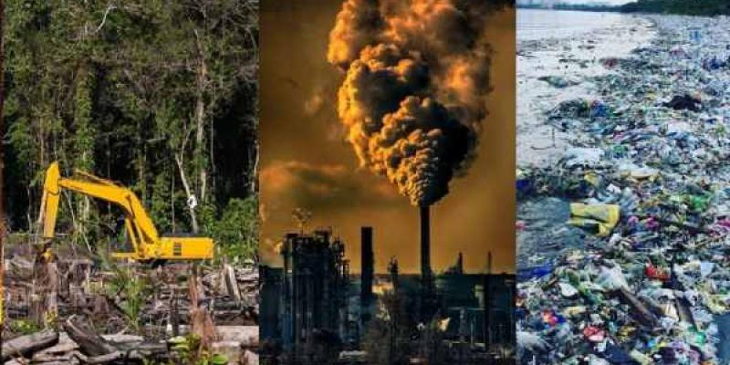 Ecocidio como delito internacional