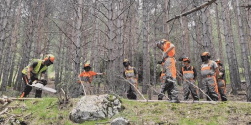 Proyecto Bio For Piri