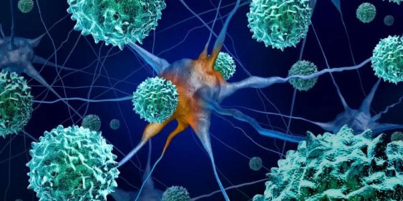 En enterovirus descubierto