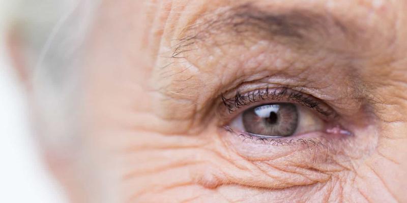 Vacunas para el envejecimiento y las enfermedades