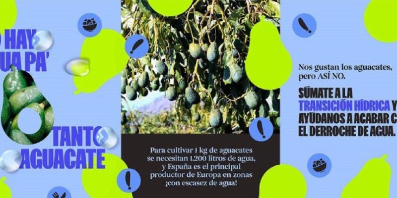 Cartel de la campaña