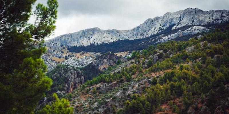 Paisaje montañoso en la isla de Mallorca 