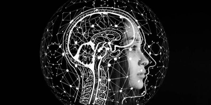 Estructuras cerebrales 