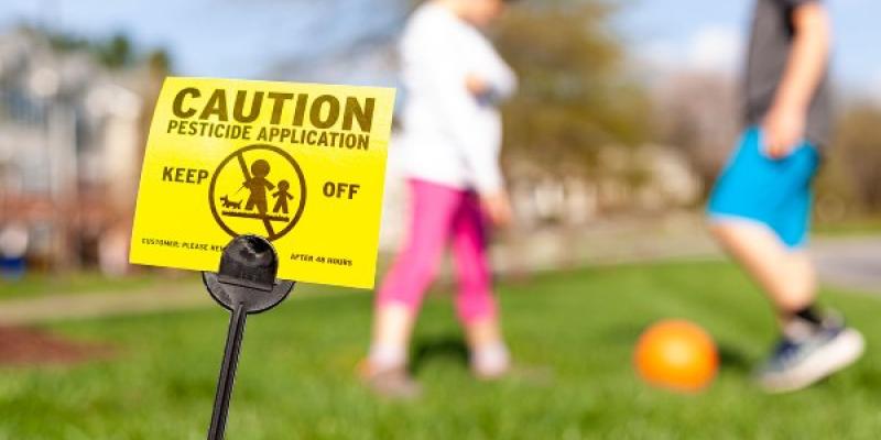 El Proyecto Esquipi y la exposición infantil a sustancias químicas