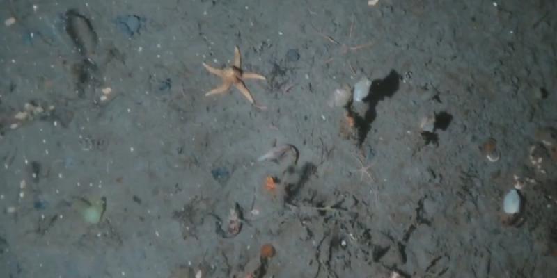 Captura de imagen de vídeo de fondo antártico