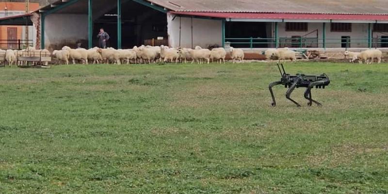 Tecnología para el pastoreo