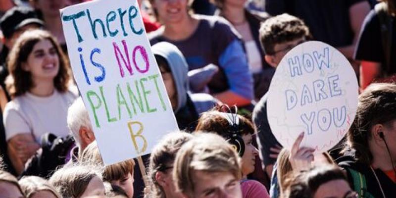 Generación Z y greenwashing