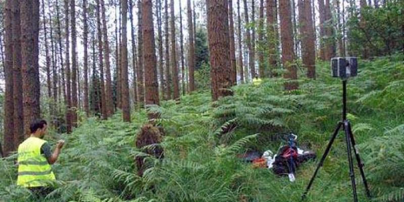 La gestión forestal protege nuestros bosques