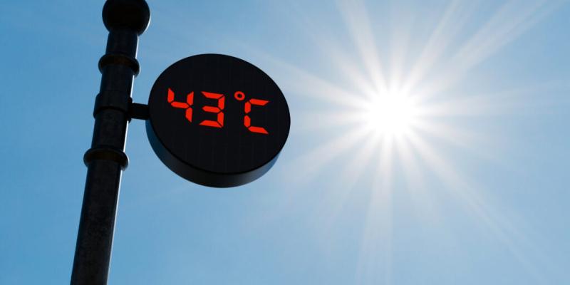 Guía práctica para afrontar la ola de calor