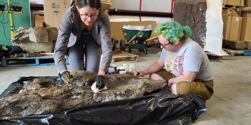 Investigadores observando las huellas de los dinosaurios