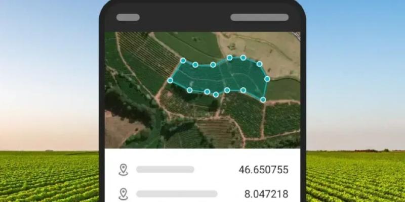 Webinars internacionales ofrece una guía práctica para cumplir con el EUDR
