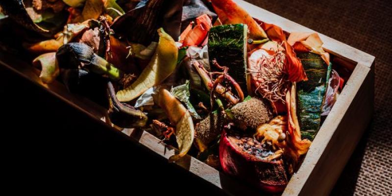 Desperdicio alimentario